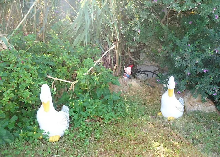 מלון דירות Colosseo Star