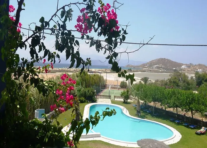 Colosseo Star איוס פרוקופיוס