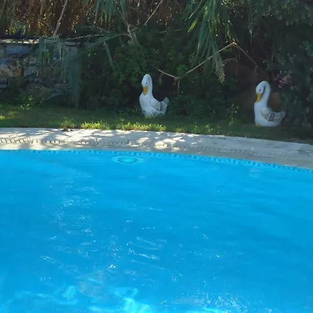 Colosseo Star Apart-hotel Agios Prokopios (Naxos)