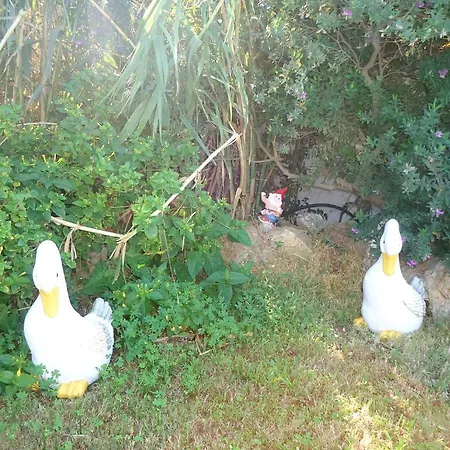 Apart-hotel Colosseo Star